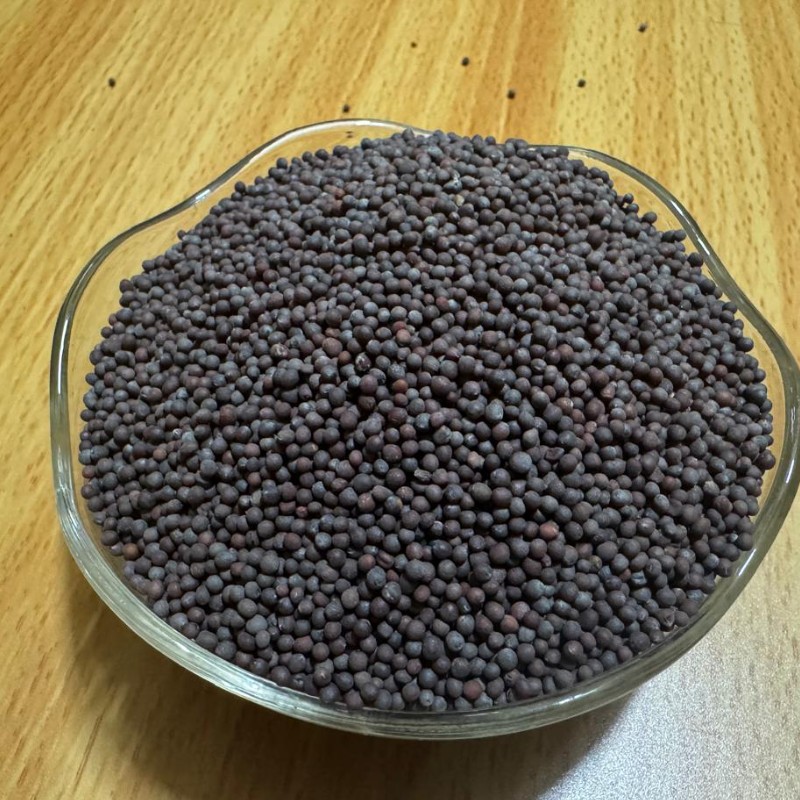 Buy Black Mustard Seeds Online | Fresh Organic Rai